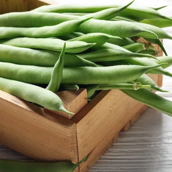 MangiaBin Elemento 10