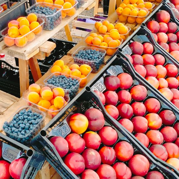 MangiaBin Elemento 15