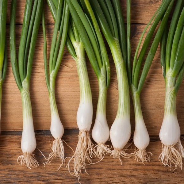 MangiaBin Elemento 23