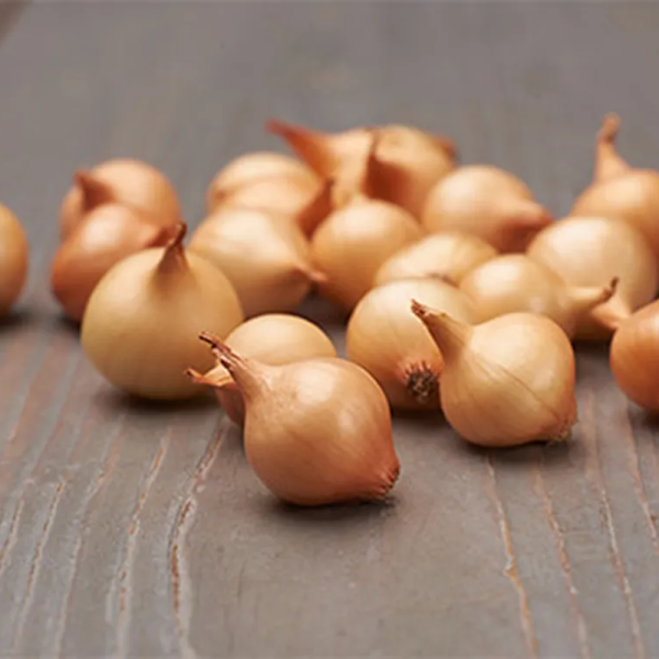 MangiaBin Elemento 24