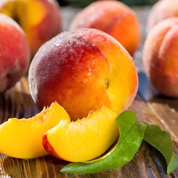 MangiaBin Elemento 25