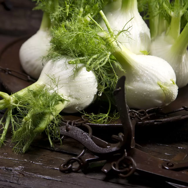 MangiaBin Elemento 27