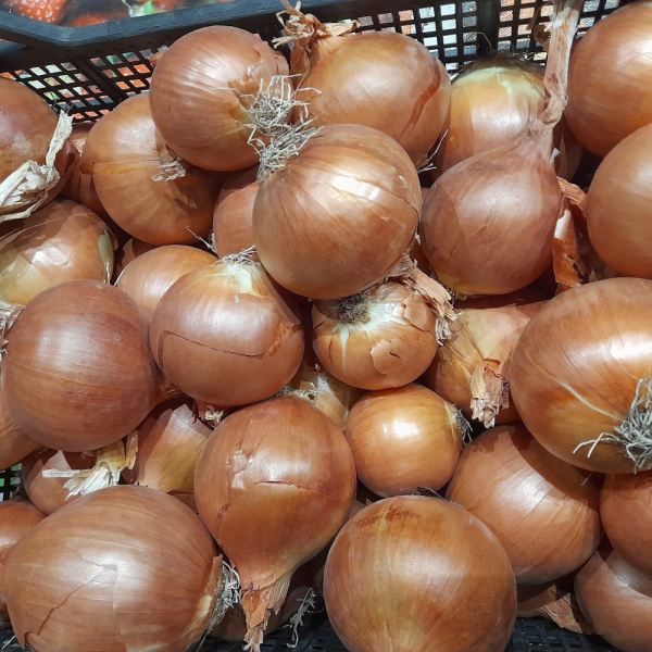 MangiaBin Elemento 29