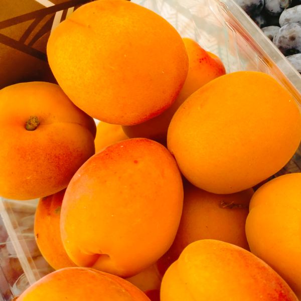 MangiaBin Elemento 3