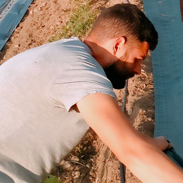 MangiaBin Elemento2 1