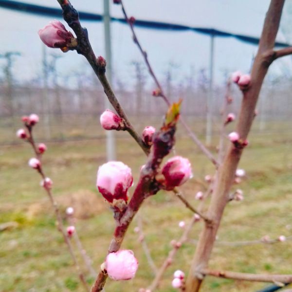 MangiaBin Elemento2 13