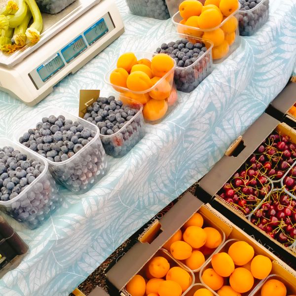 MangiaBin Elemento2 16