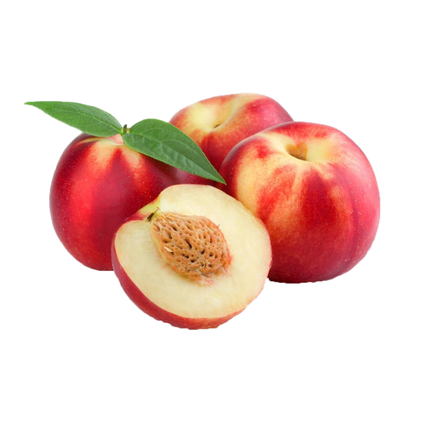 MangiaBin Elemento2 26