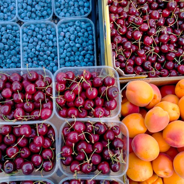 MangiaBin Elemento2 3