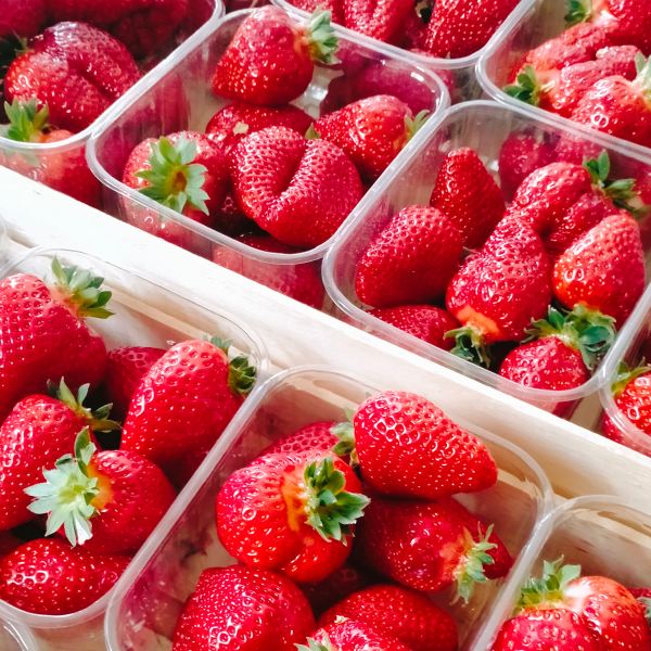 MangiaBin Elemento2 7