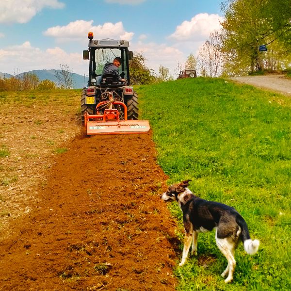 MangiaBin Elemento2 8